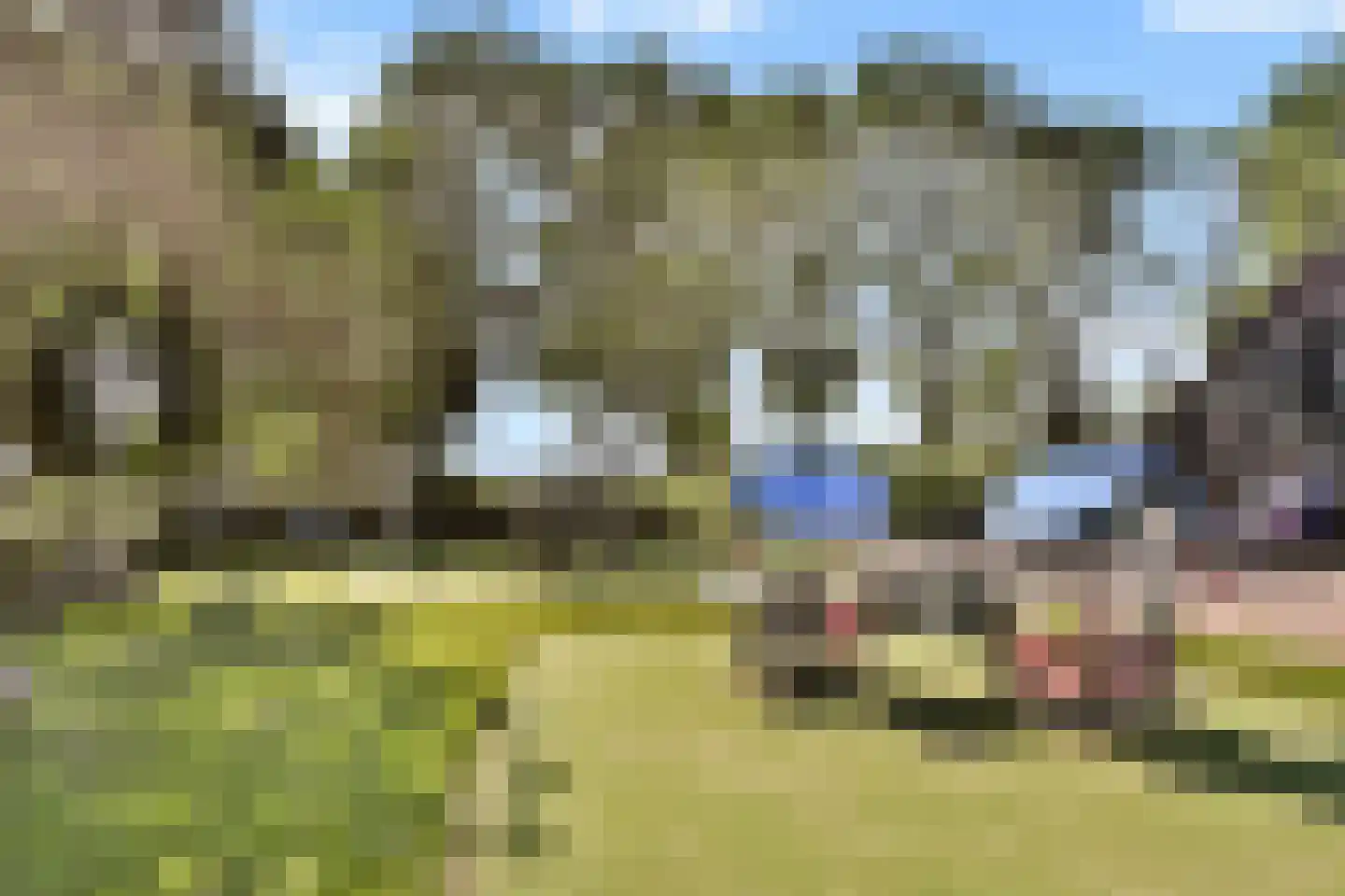 Ganzendiep 23 Uithoorn thumbnail 32