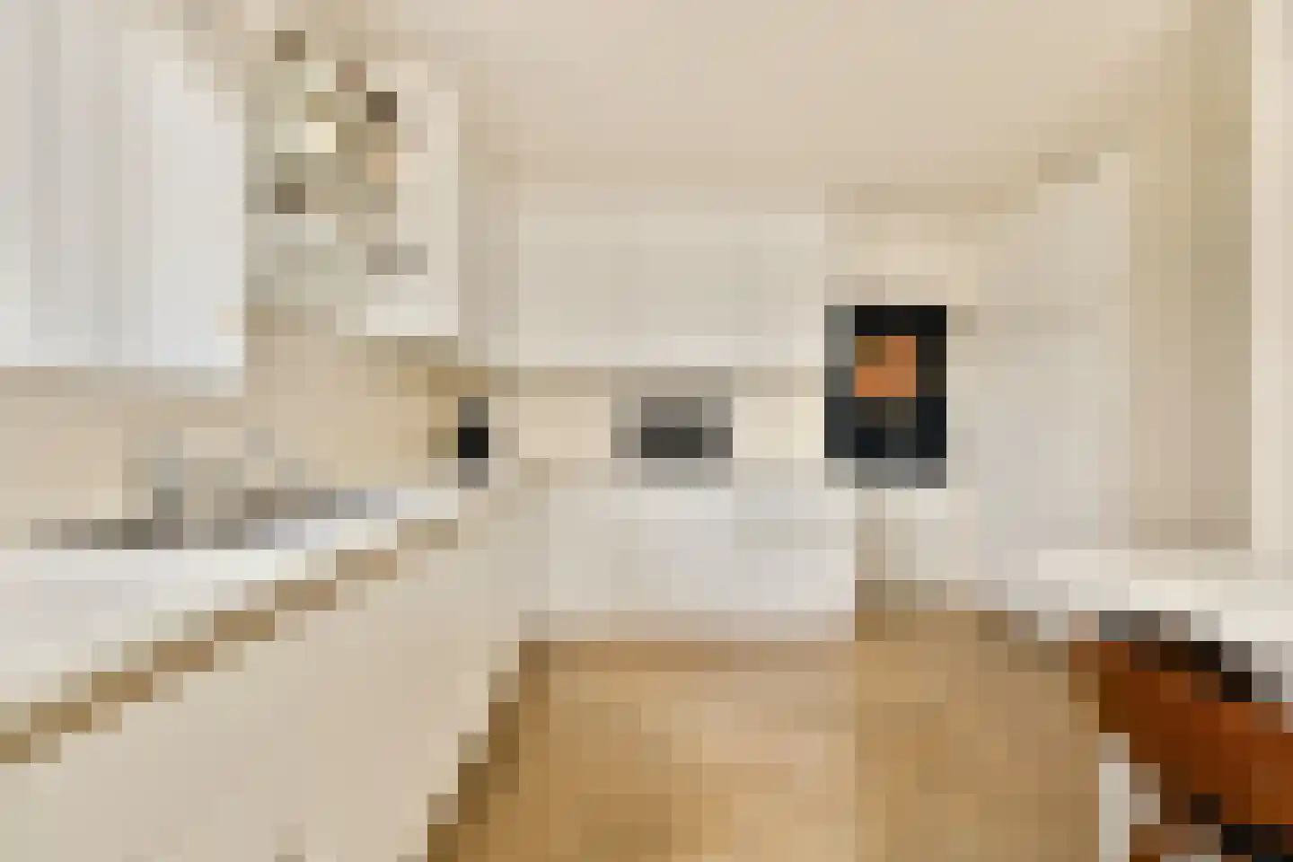 Ganzendiep 23 Uithoorn thumbnail 8