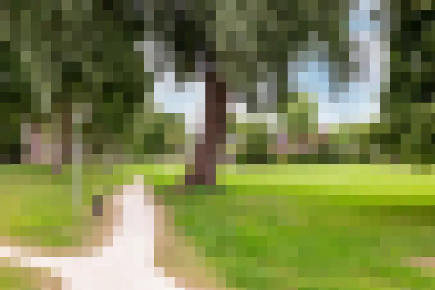 Ganzendiep 29 Lelystad thumbnail 36