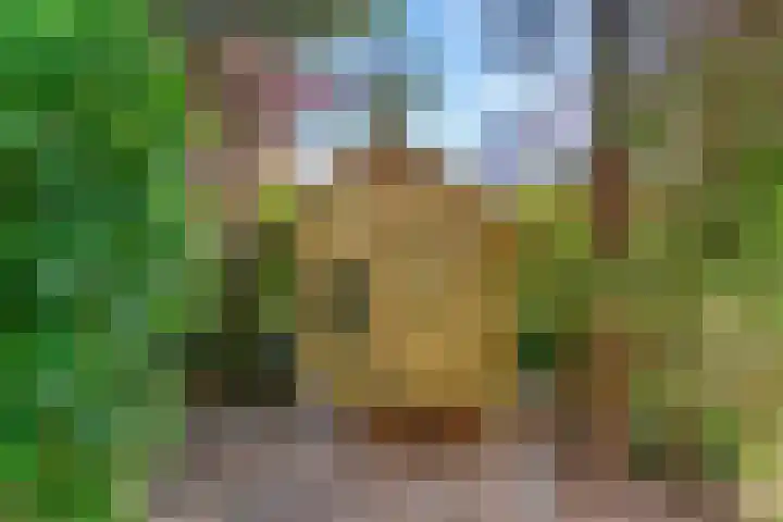 Ganzendiep 5 Uithoorn thumbnail 23