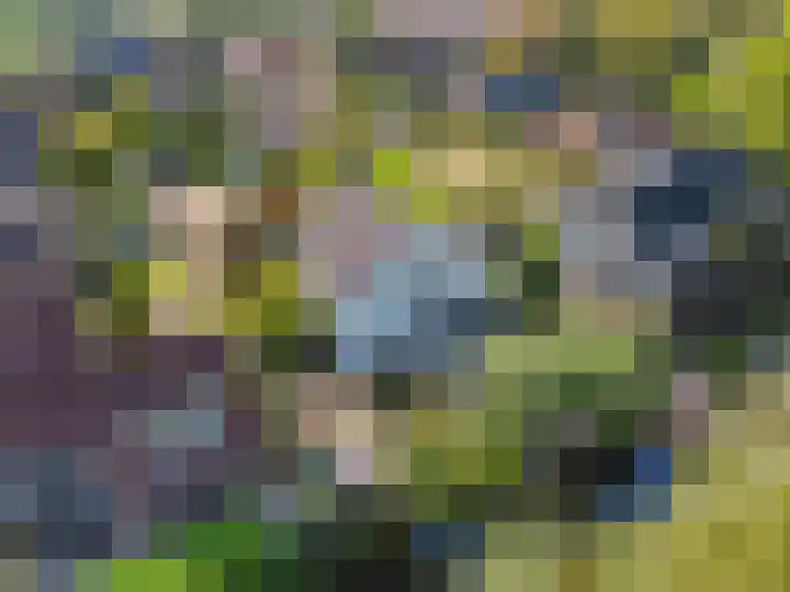 Ganzendiep 5 Uithoorn thumbnail 27