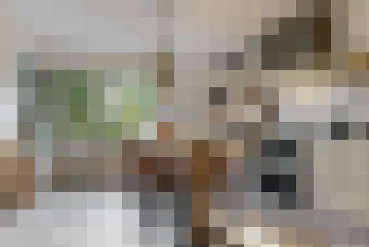 Ganzendiep 5 Uithoorn thumbnail 6