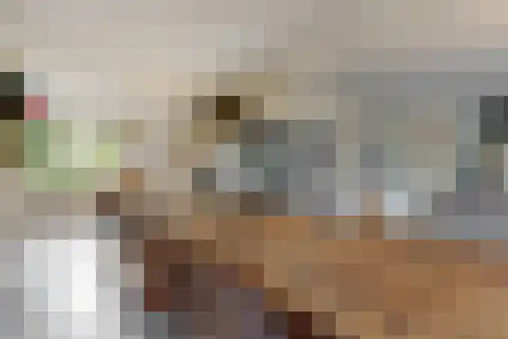 Ganzendiep 5 Uithoorn thumbnail 7