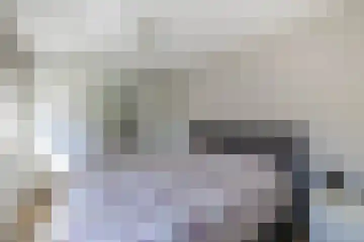 Ganzendiepstraat 11 Almelo thumbnail 12
