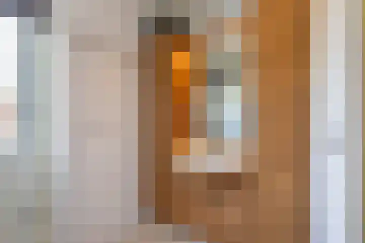Ganzendiepstraat 11 Almelo thumbnail 21