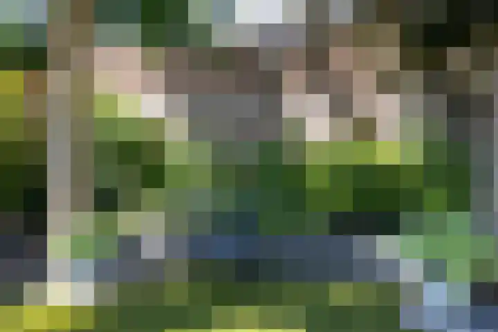 Ganzendiepstraat 11 Almelo thumbnail 28