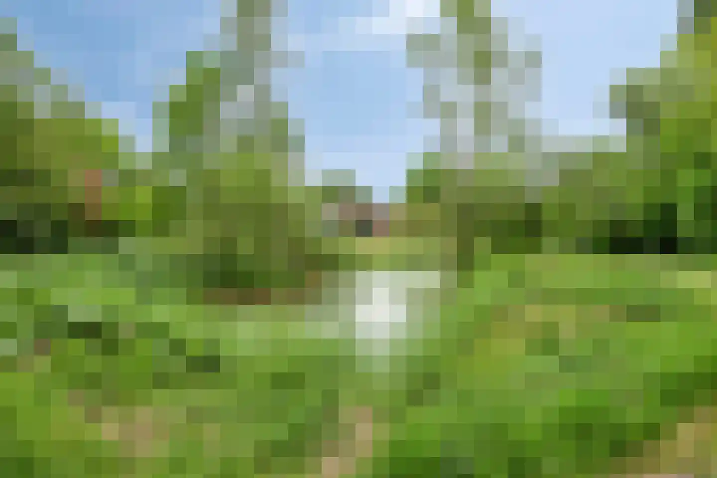 Ganzenebbeweg 3 Vaassen
