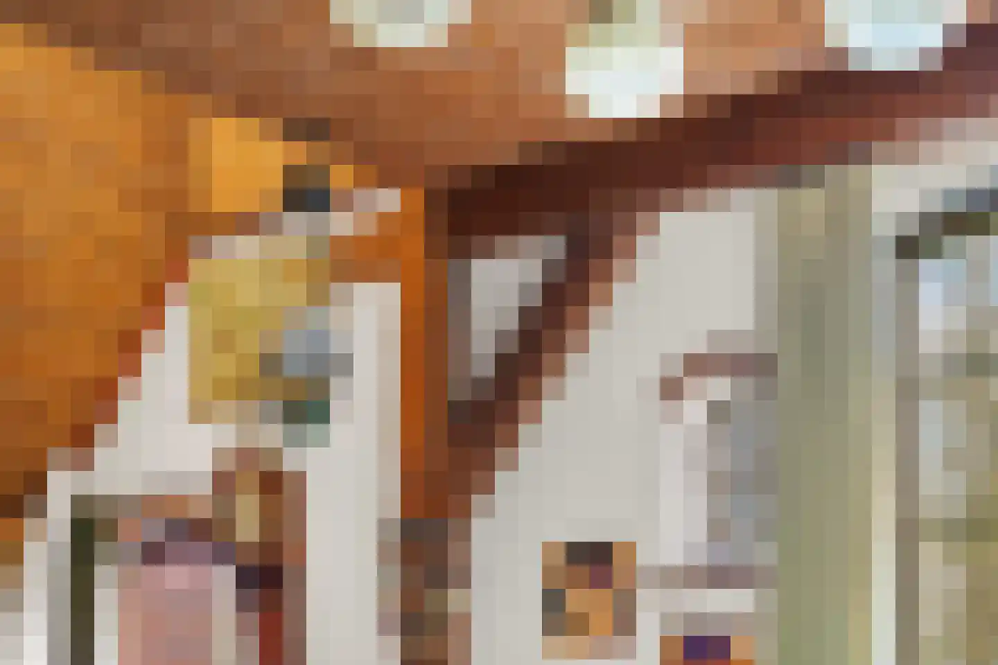 Ganzenebbeweg 3 Vaassen thumbnail 13