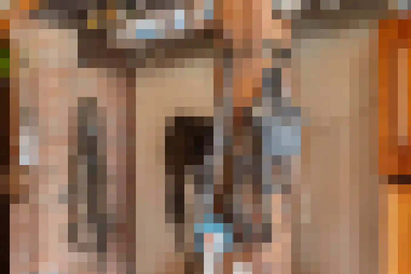 Ganzenebbeweg 3 Vaassen thumbnail 14