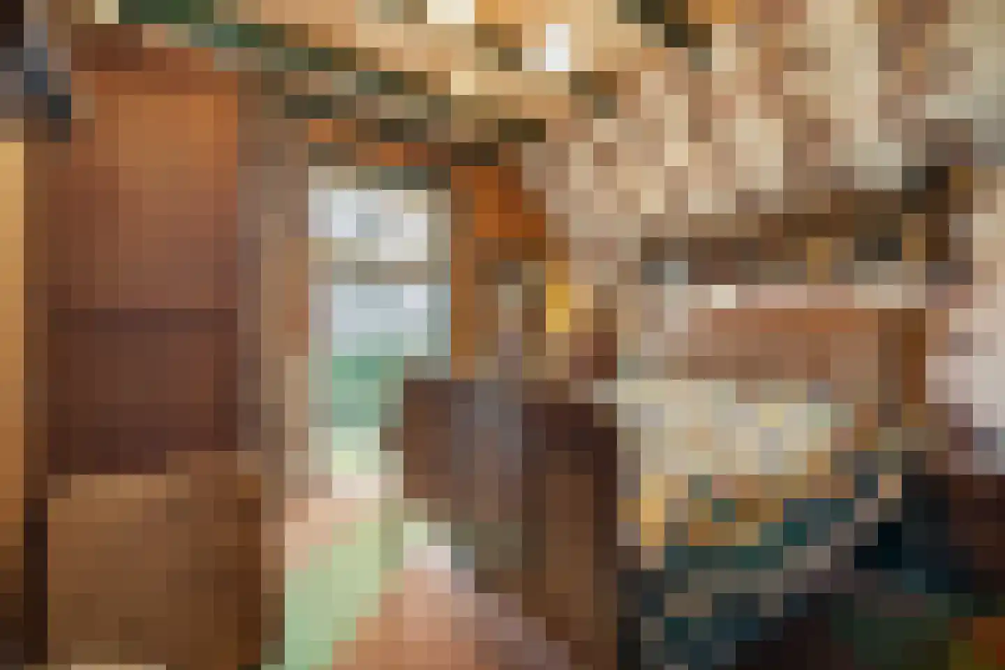 Ganzenebbeweg 3 Vaassen thumbnail 20