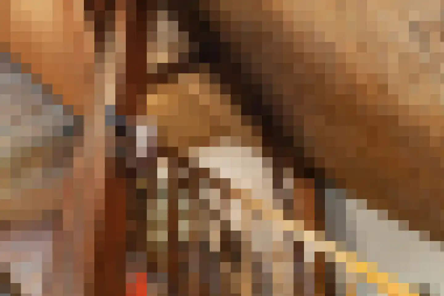 Ganzenebbeweg 3 Vaassen thumbnail 23