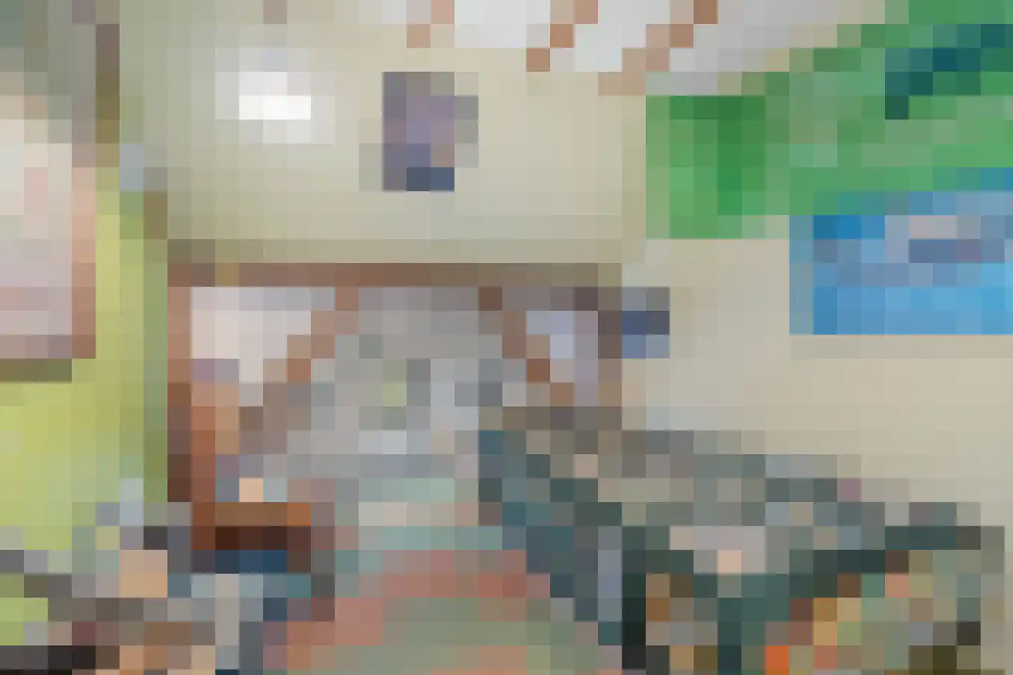 Ganzenebbeweg 3 Vaassen thumbnail 26