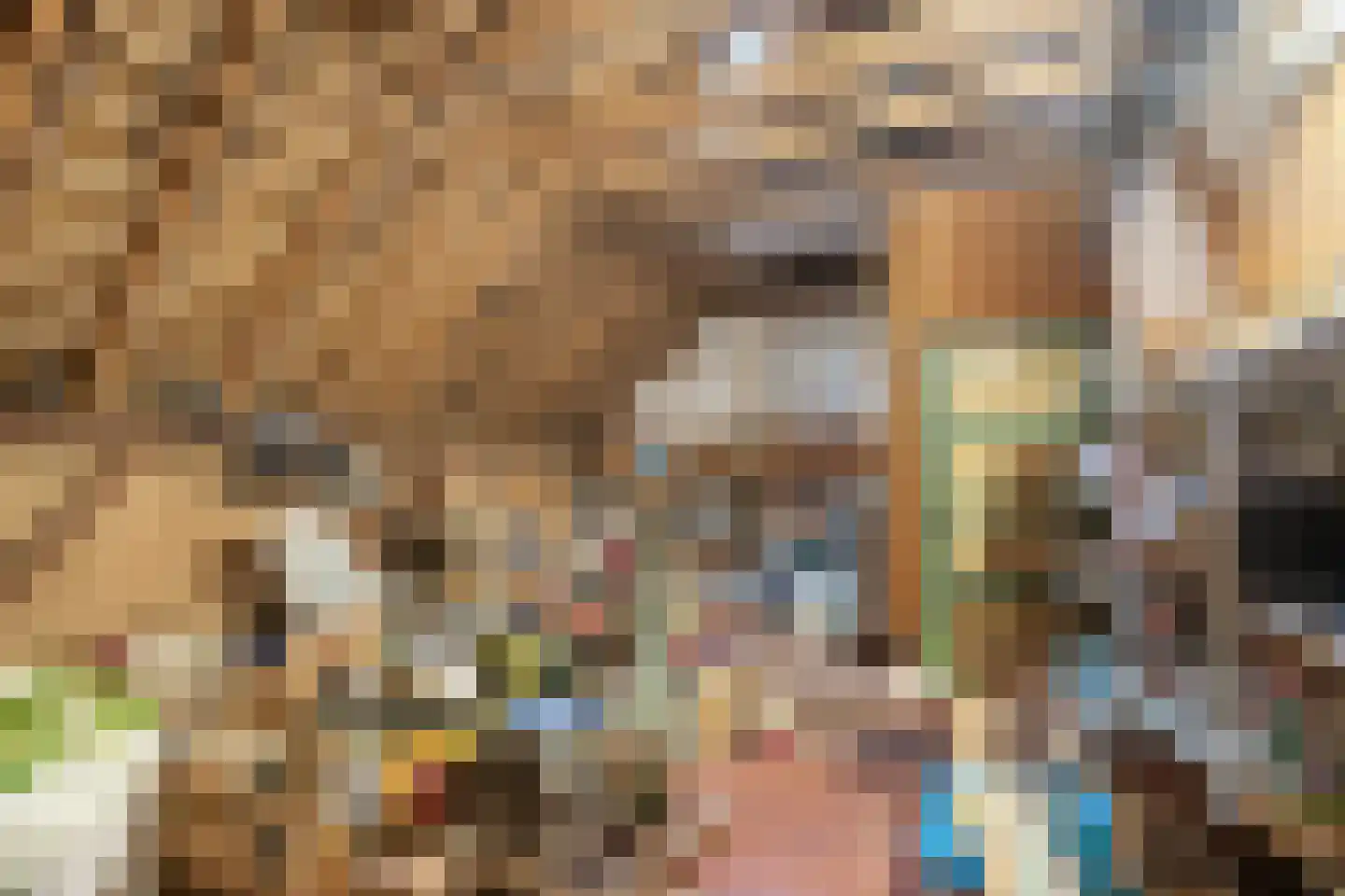 Ganzenebbeweg 3 Vaassen thumbnail 27