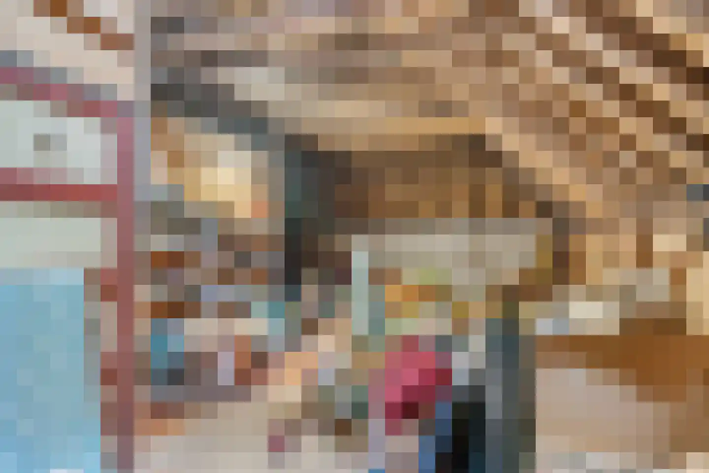 Ganzenebbeweg 3 Vaassen thumbnail 28
