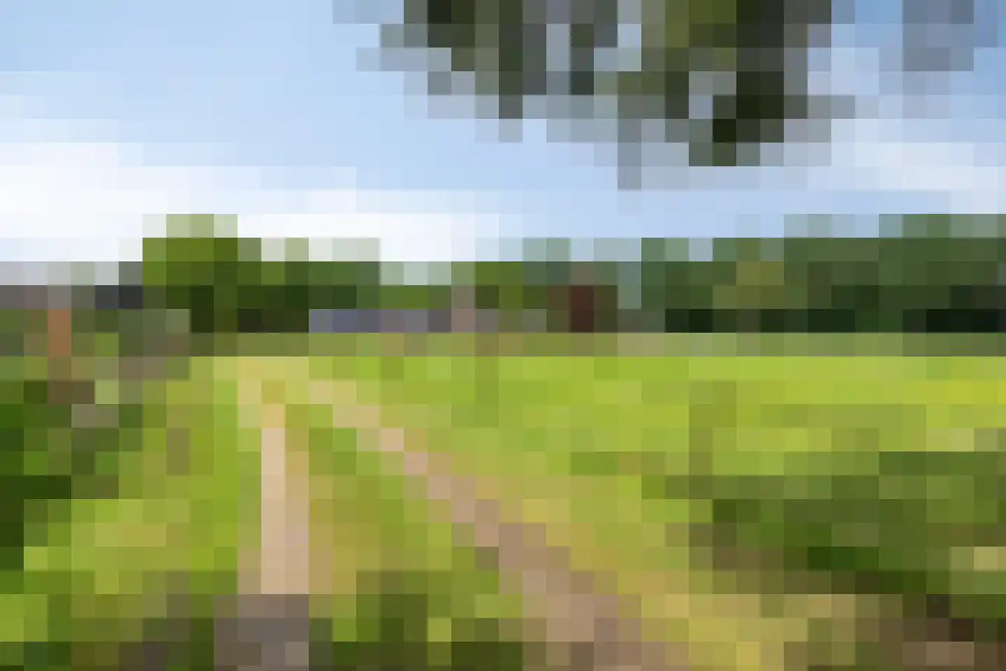 Ganzenebbeweg 3 Vaassen thumbnail 29