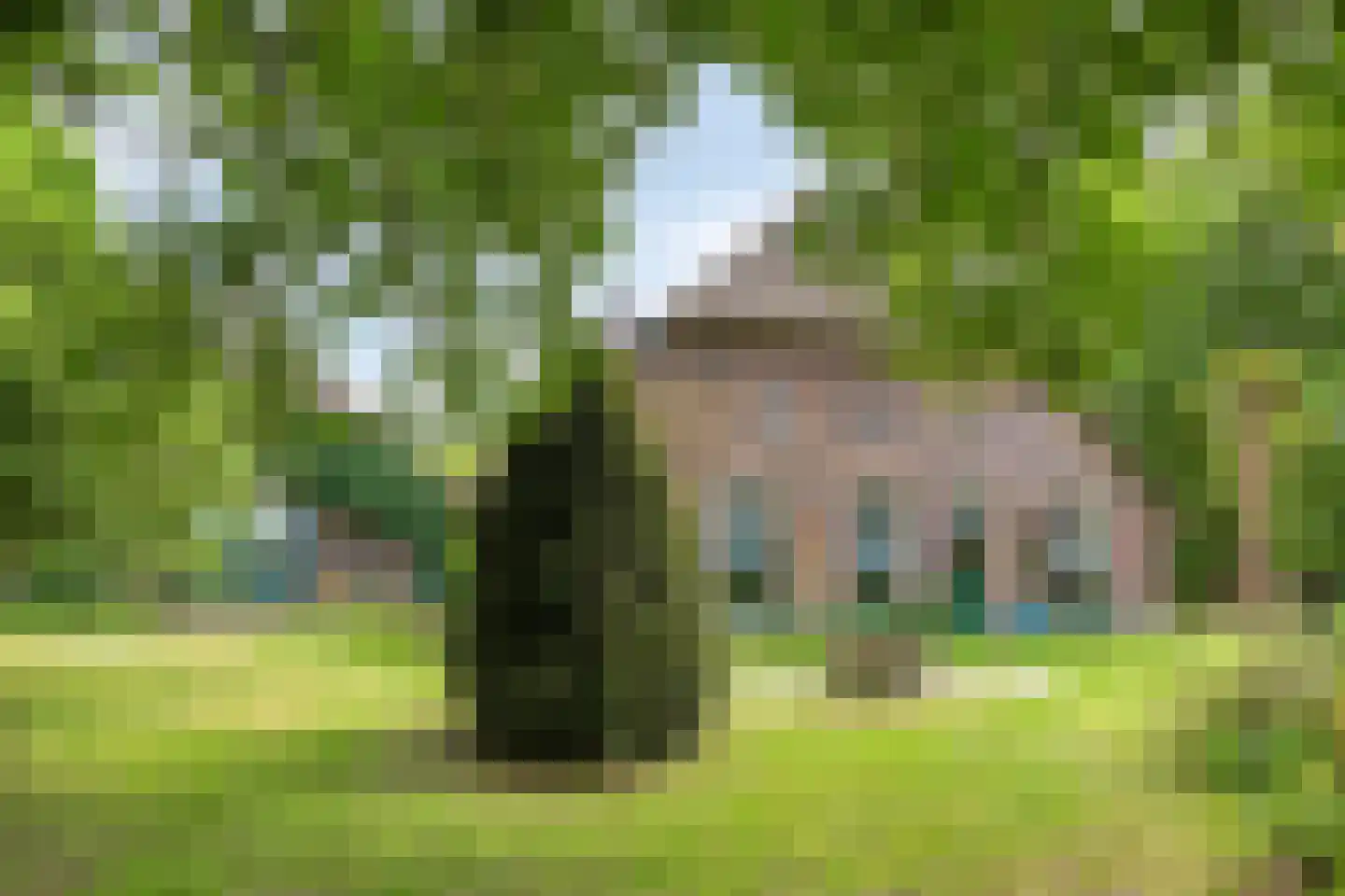 Ganzenebbeweg 3 Vaassen foto 3