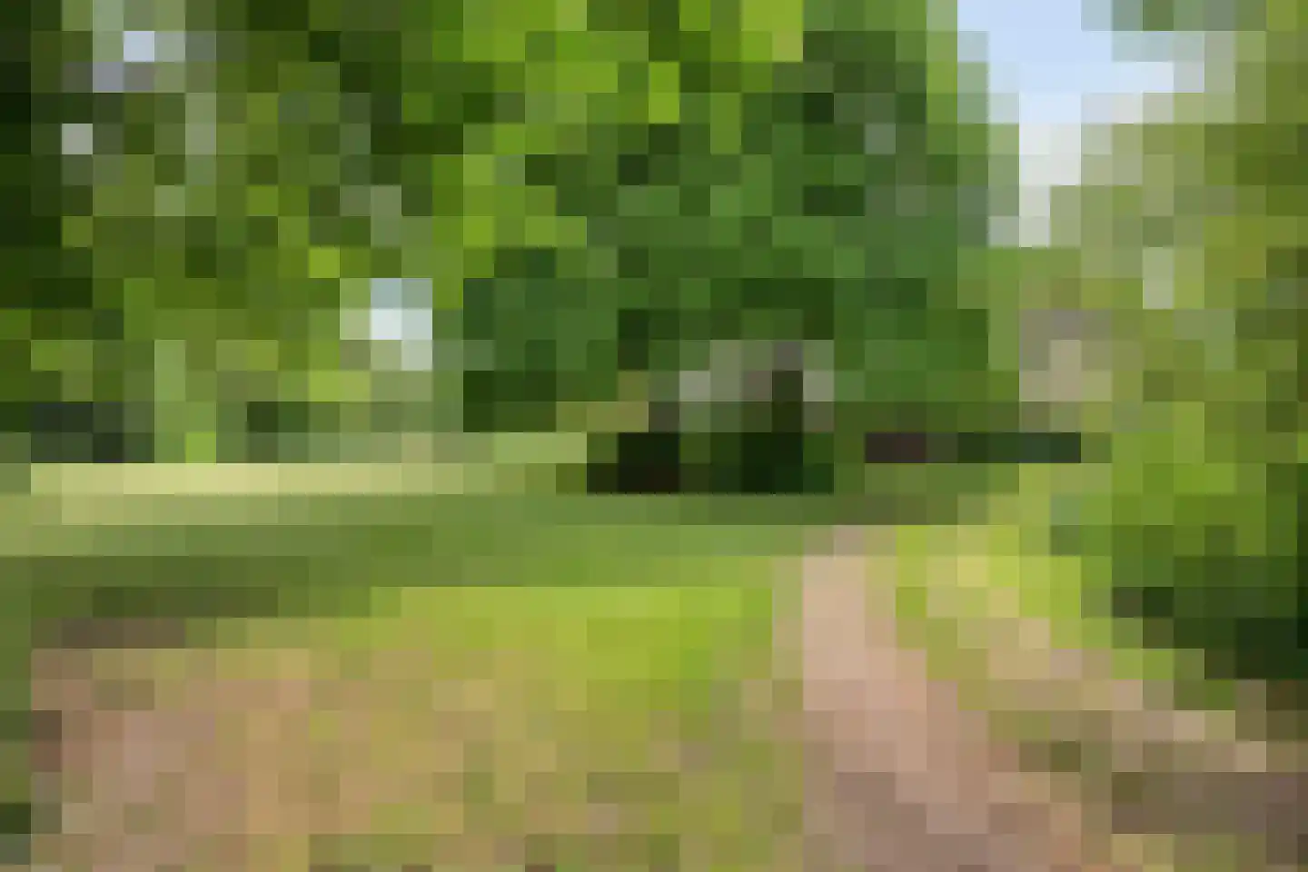 Ganzenebbeweg 3 Vaassen thumbnail 30