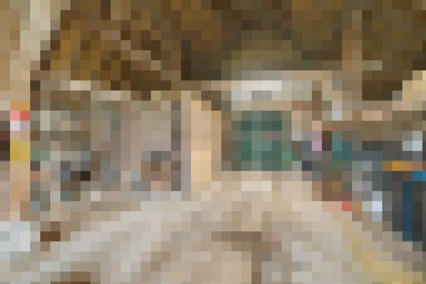 Ganzenebbeweg 3 Vaassen thumbnail 34