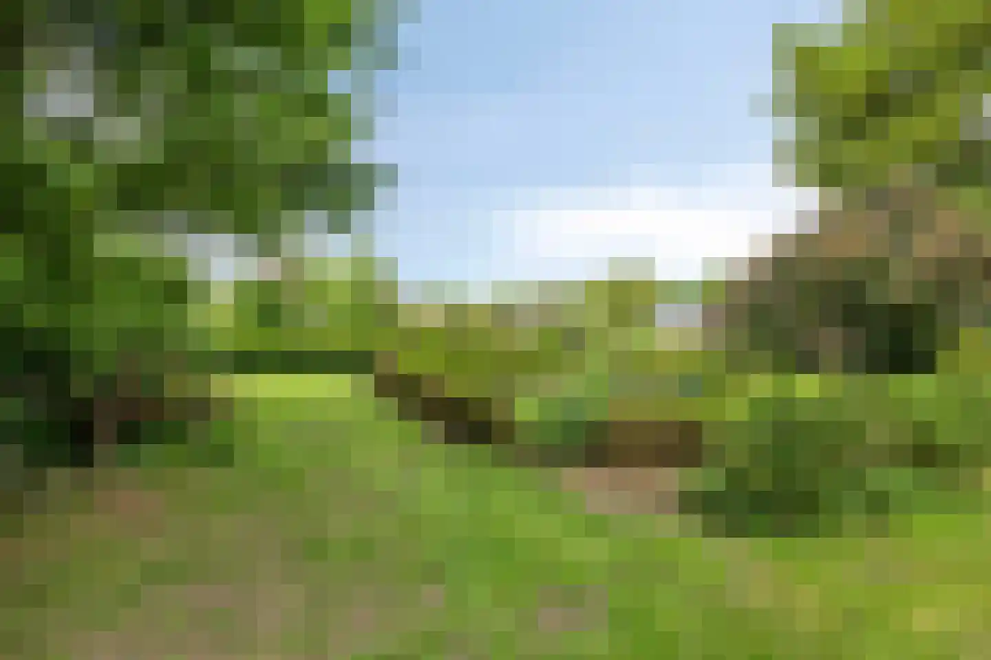 Ganzenebbeweg 3 Vaassen thumbnail 37