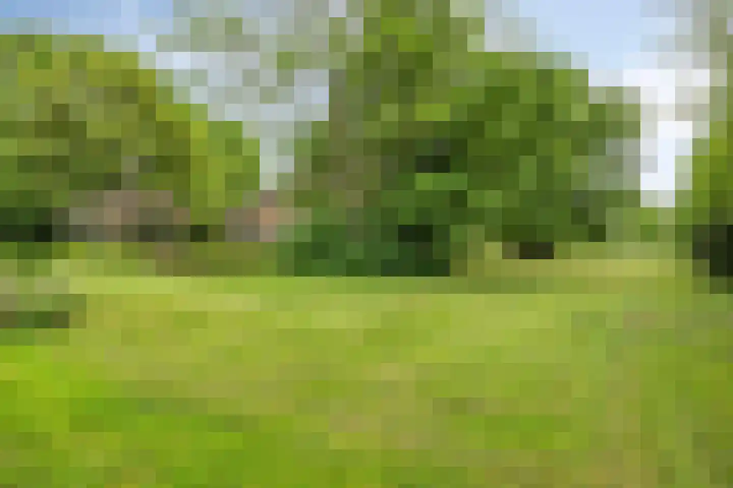 Ganzenebbeweg 3 Vaassen thumbnail 38