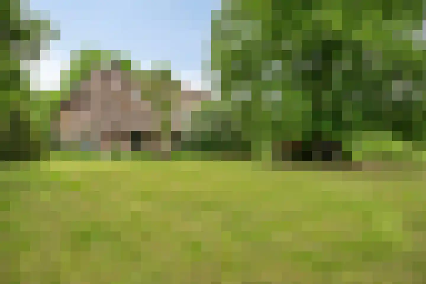Ganzenebbeweg 3 Vaassen thumbnail 39