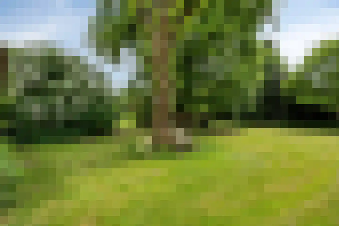 Ganzenebbeweg 3 Vaassen thumbnail 40