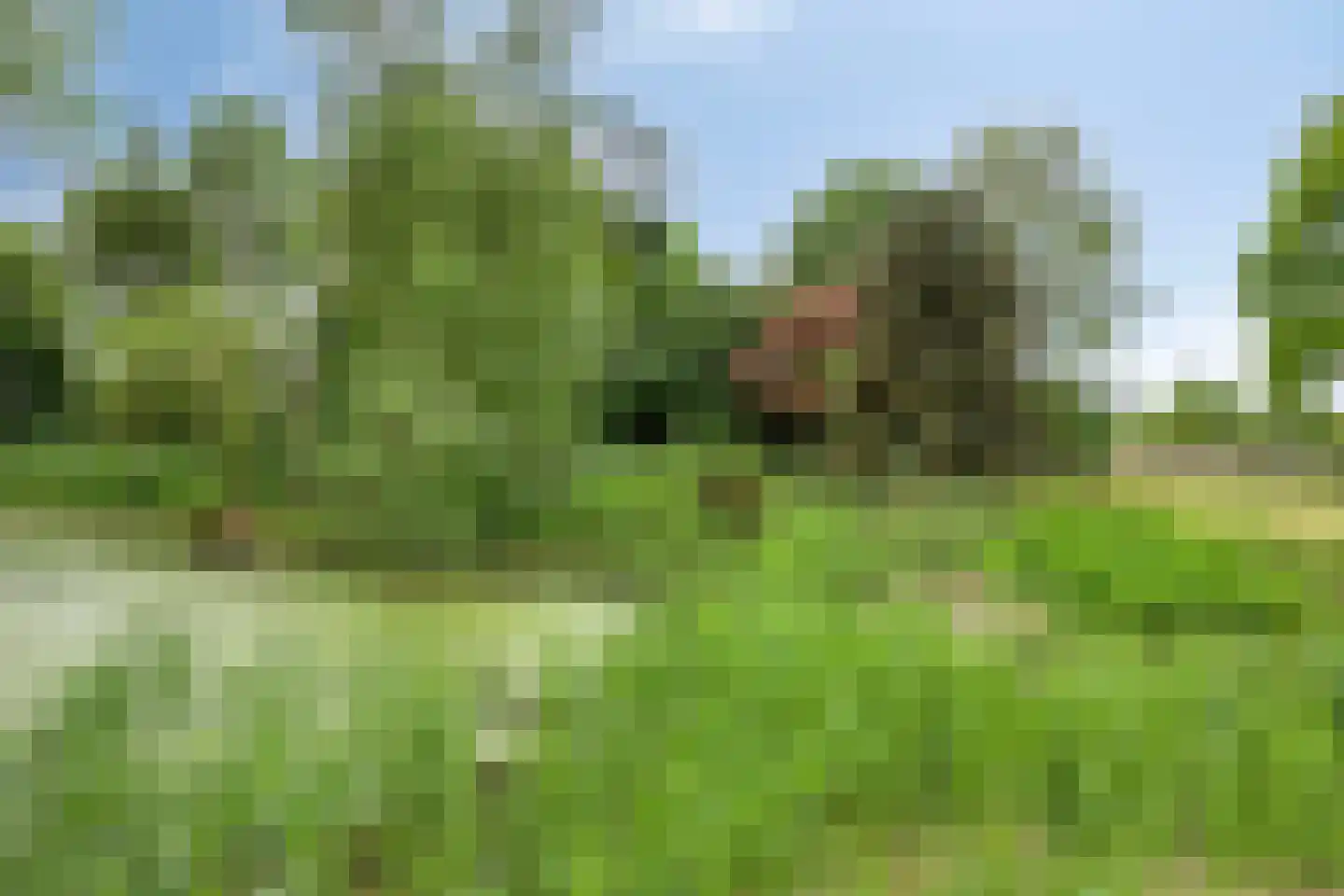 Ganzenebbeweg 3 Vaassen thumbnail 41
