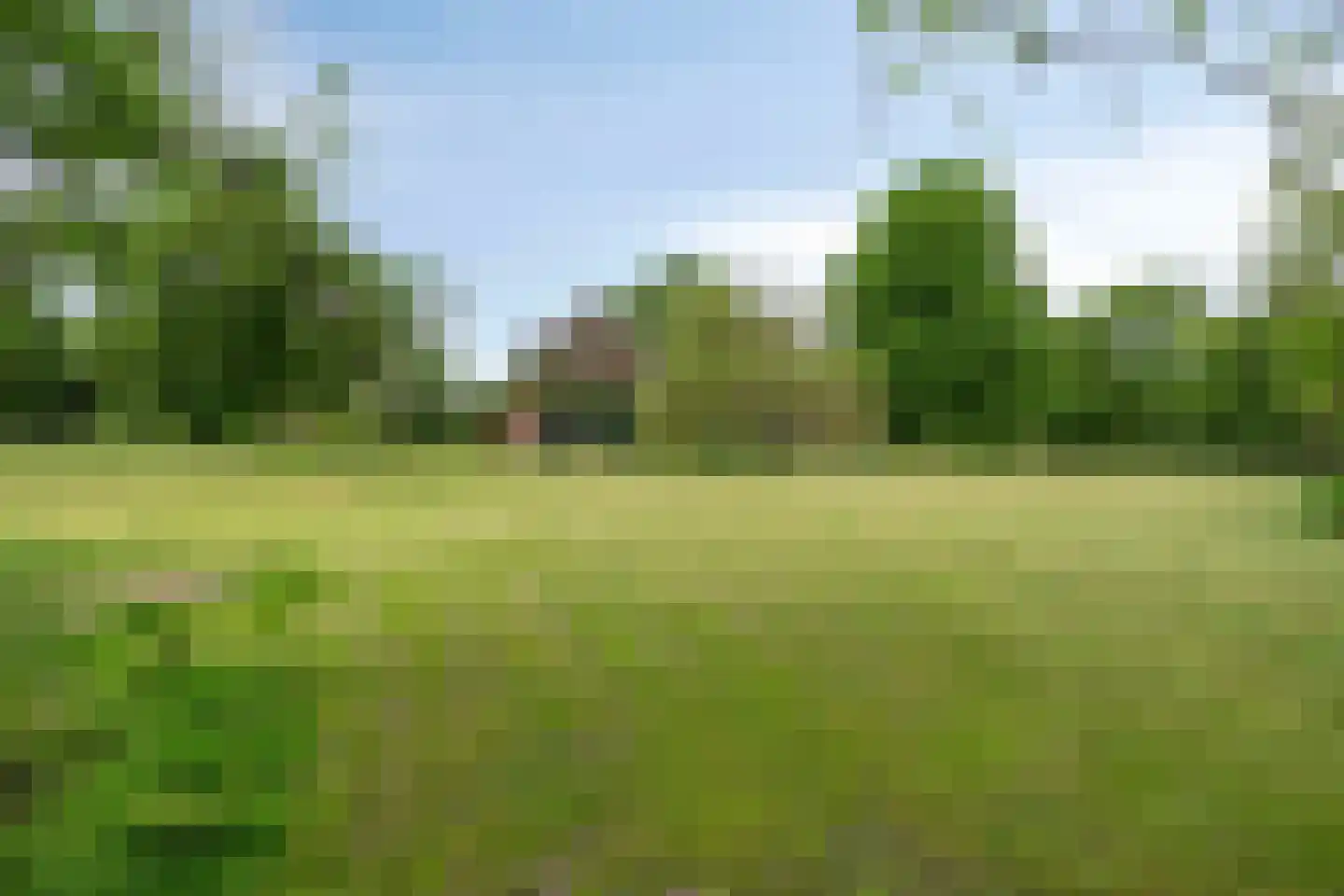 Ganzenebbeweg 3 Vaassen thumbnail 42