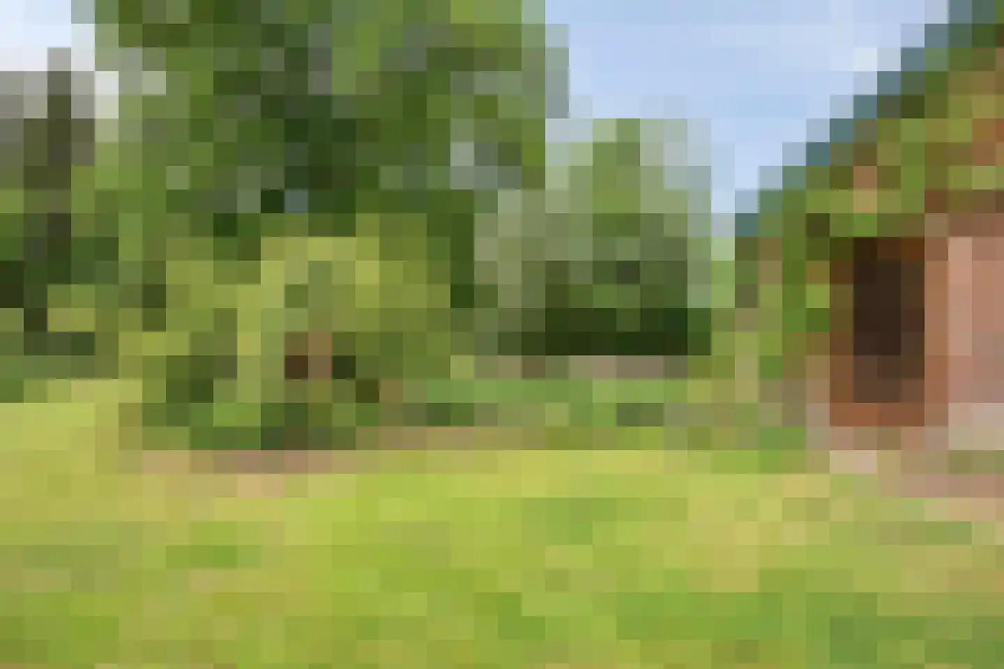 Ganzenebbeweg 3 Vaassen thumbnail 44