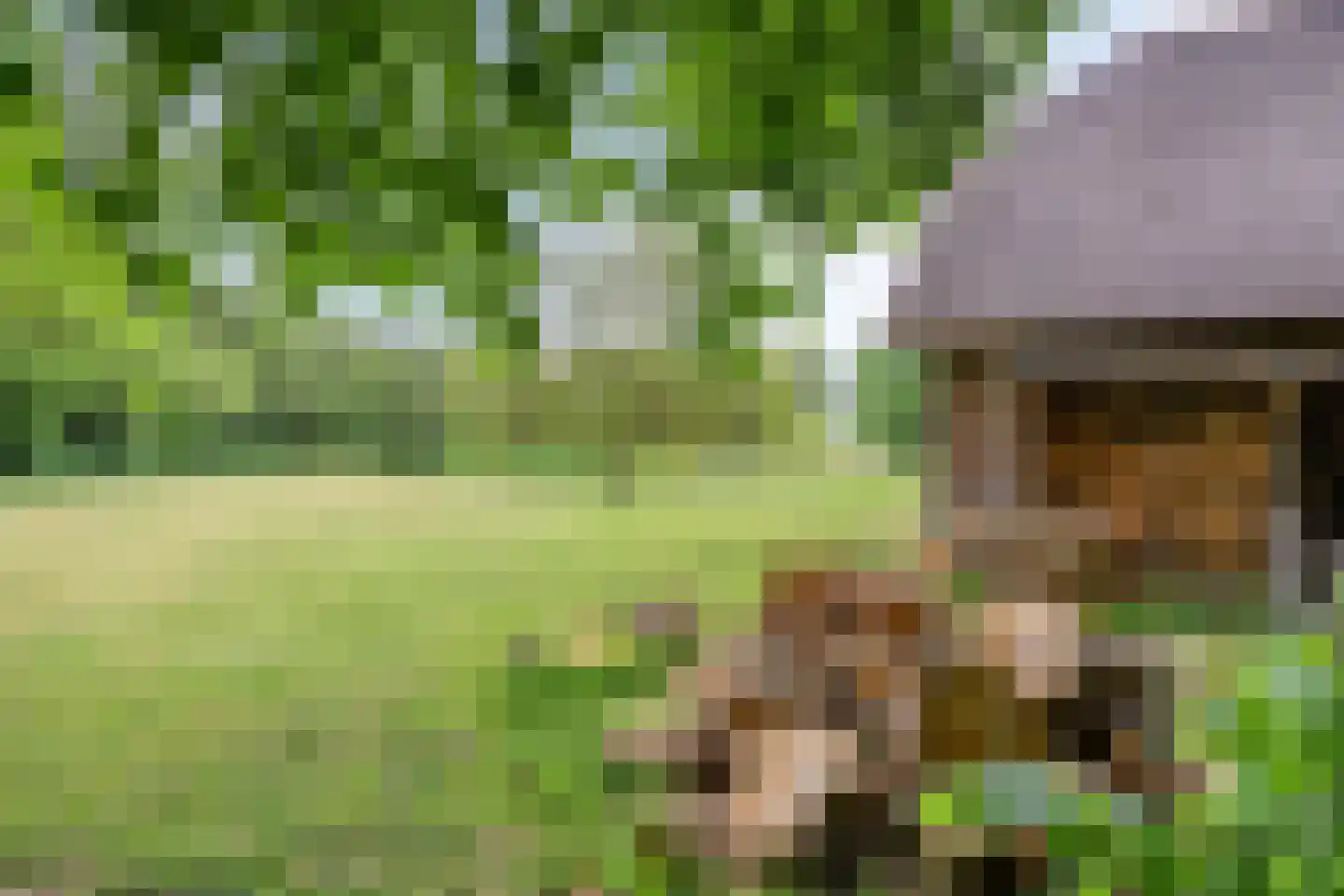 Ganzenebbeweg 3 Vaassen thumbnail 45