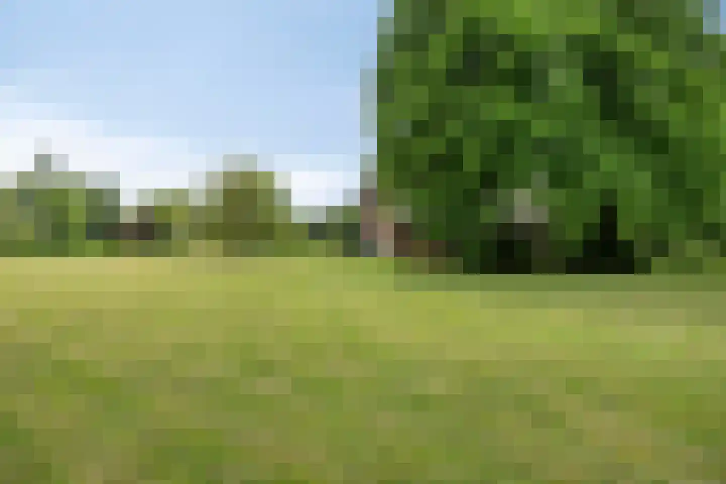Ganzenebbeweg 3 Vaassen thumbnail 46