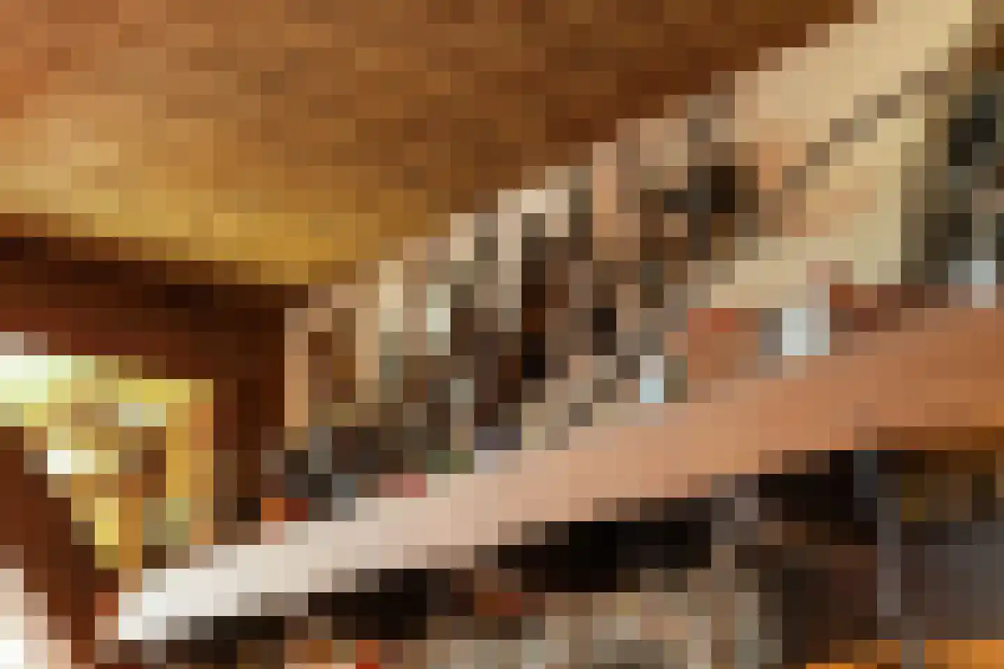 Ganzenebbeweg 3 Vaassen thumbnail 8