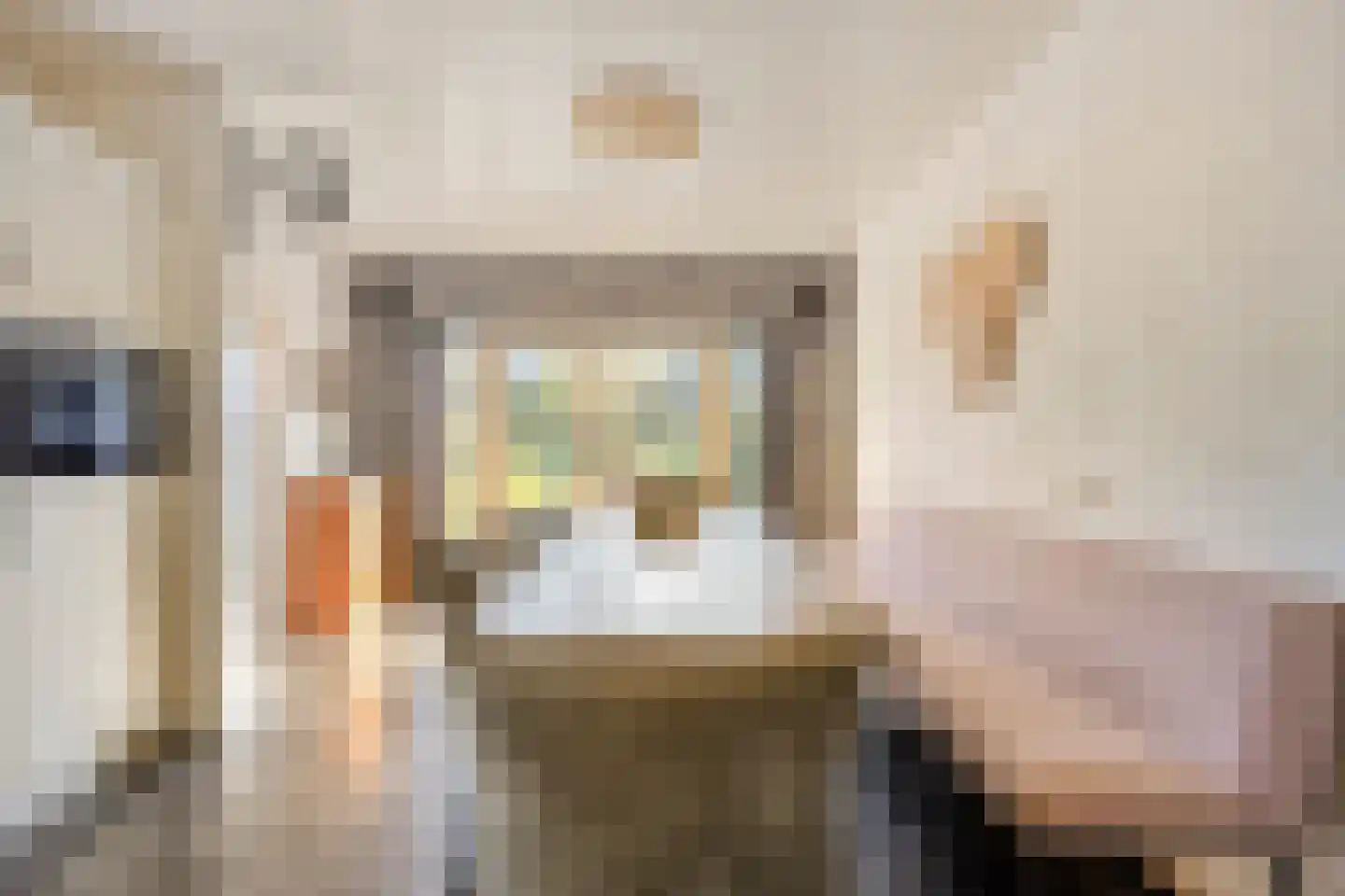 Ganzenebbeweg 5 Vaassen thumbnail 10