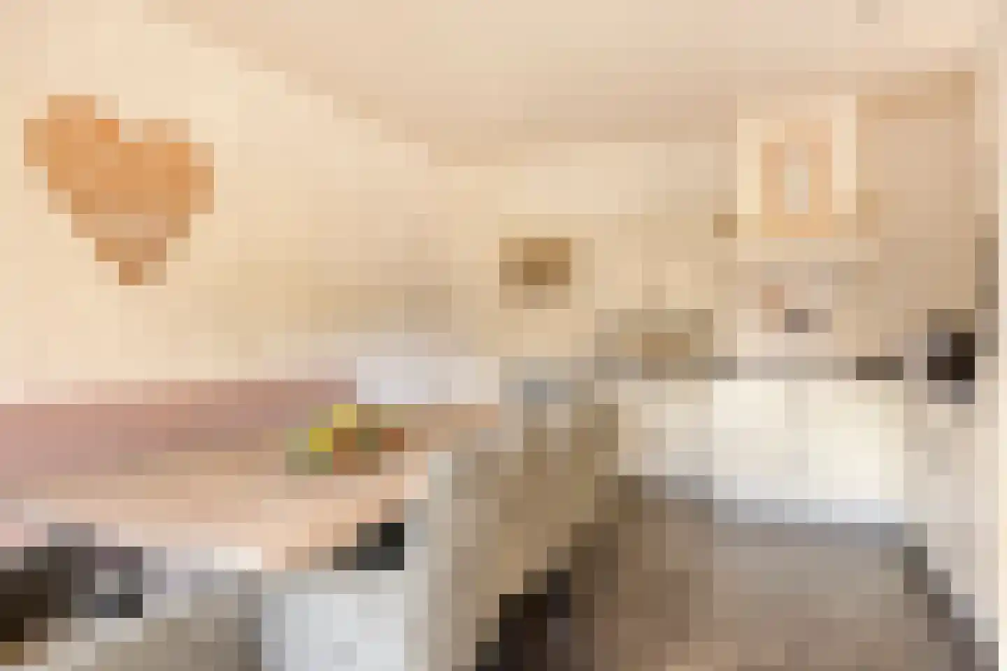 Ganzenebbeweg 5 Vaassen thumbnail 12