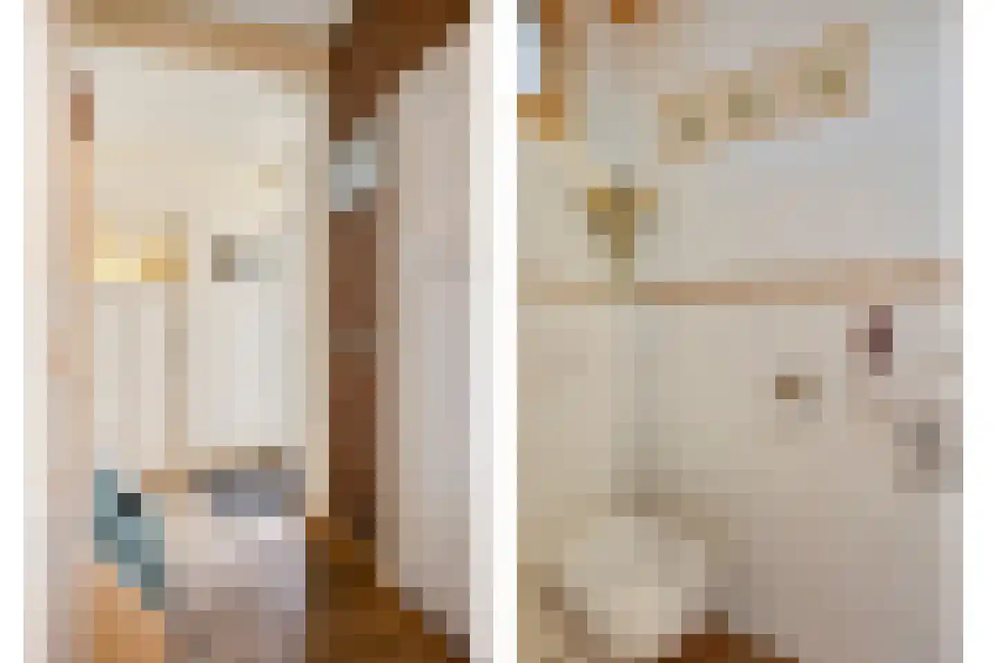 Ganzenebbeweg 5 Vaassen thumbnail 13