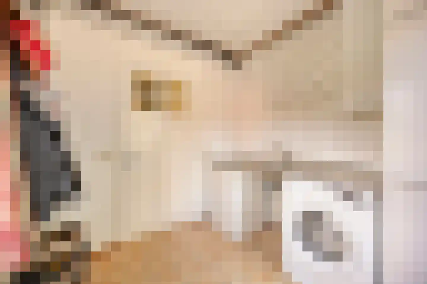 Ganzenebbeweg 5 Vaassen thumbnail 14