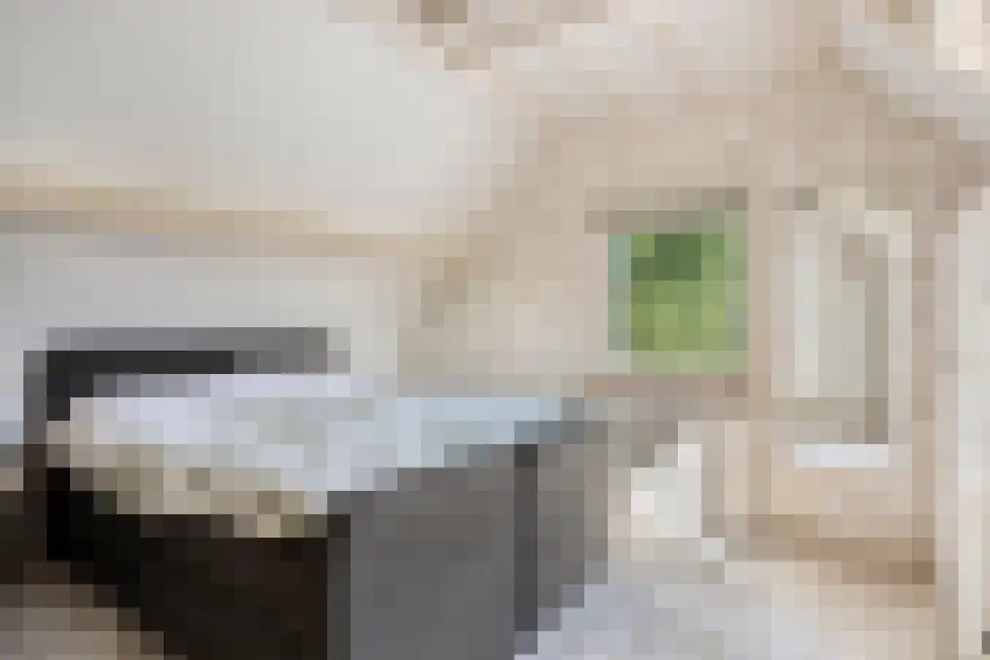 Ganzenebbeweg 5 Vaassen thumbnail 16