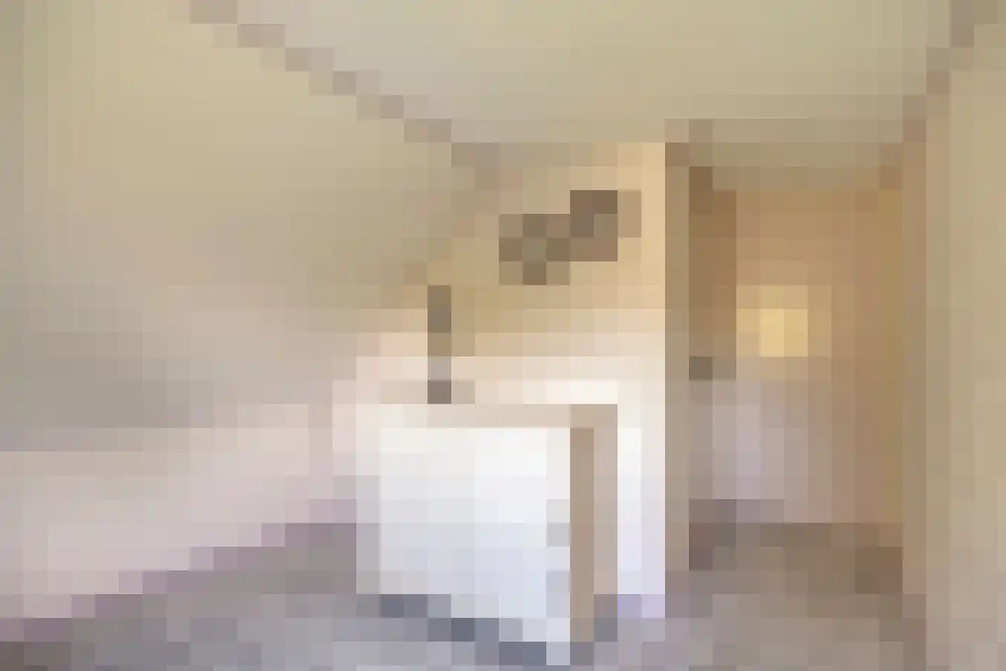 Ganzenebbeweg 5 Vaassen thumbnail 21