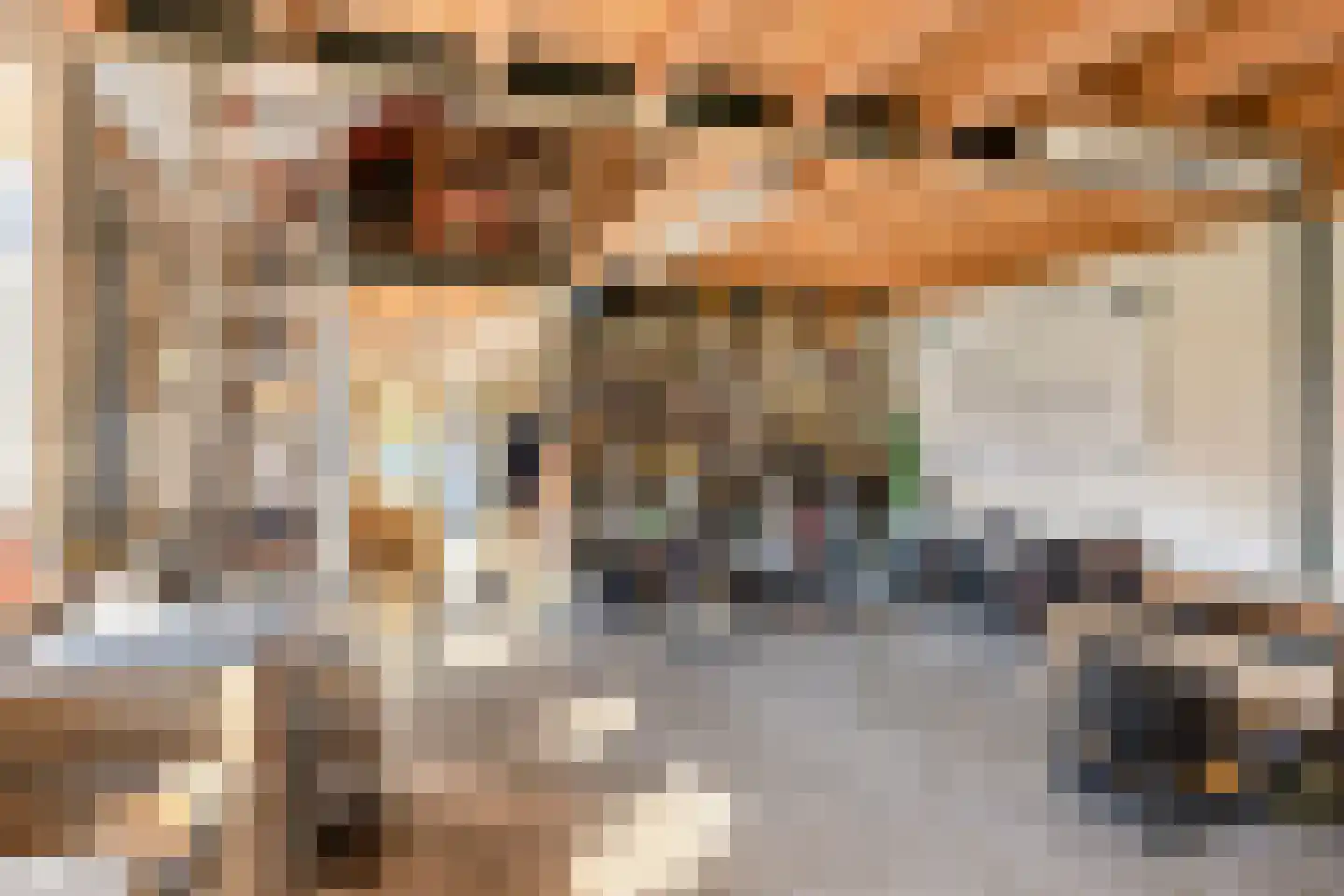Ganzenebbeweg 5 Vaassen thumbnail 32