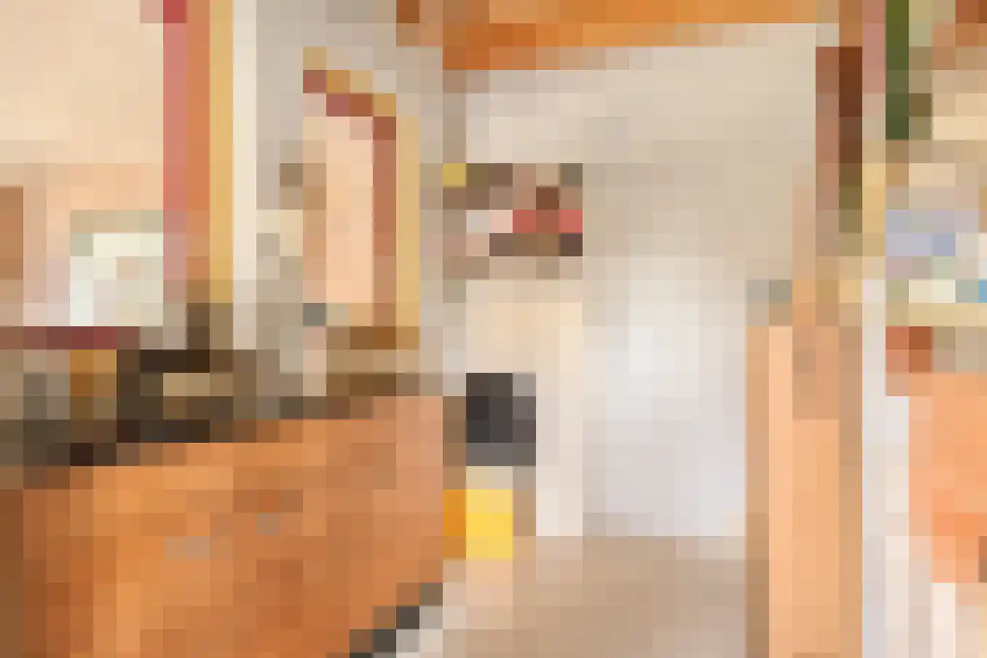 Ganzenebbeweg 5 Vaassen thumbnail 33