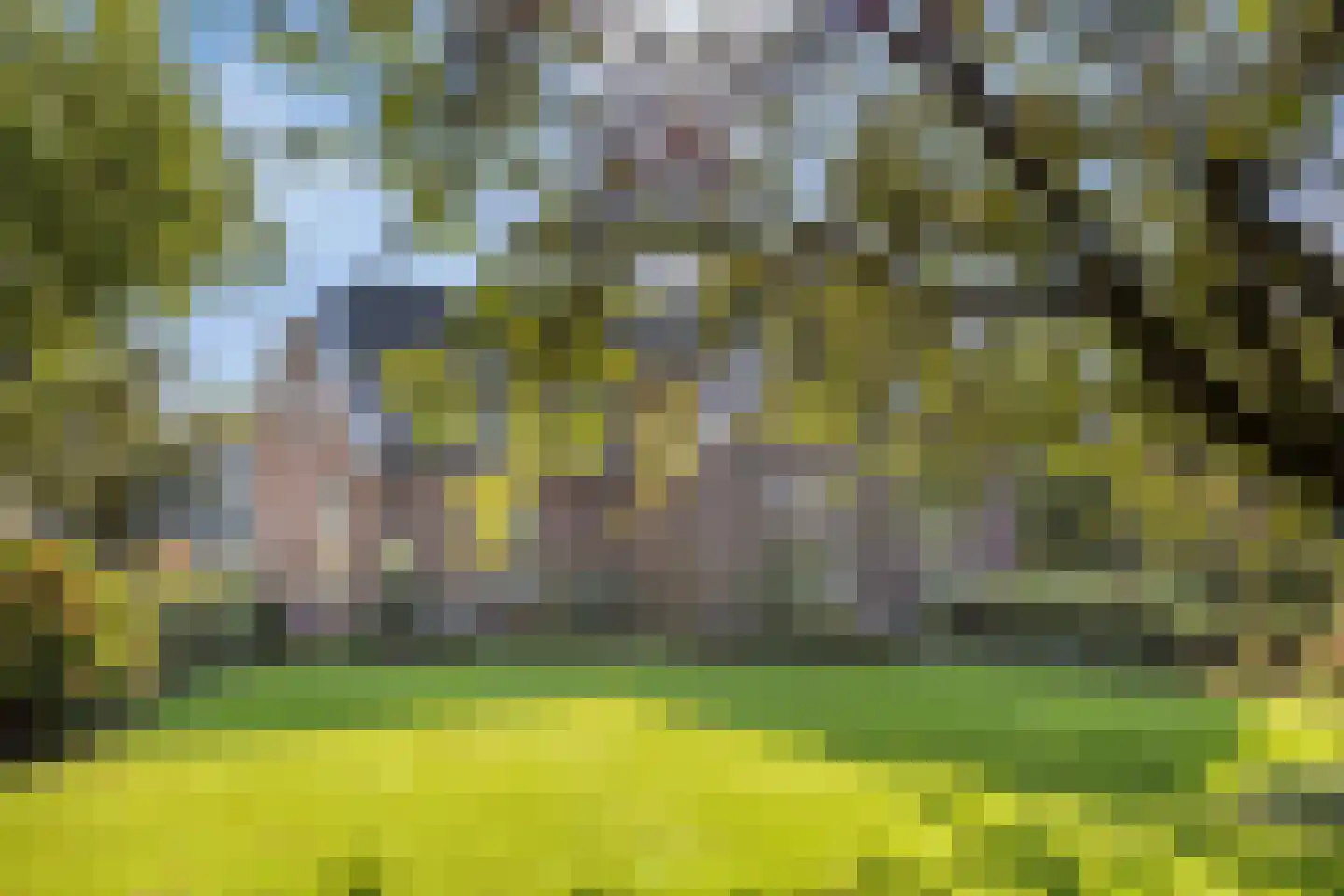 Ganzenebbeweg 5 Vaassen thumbnail 41