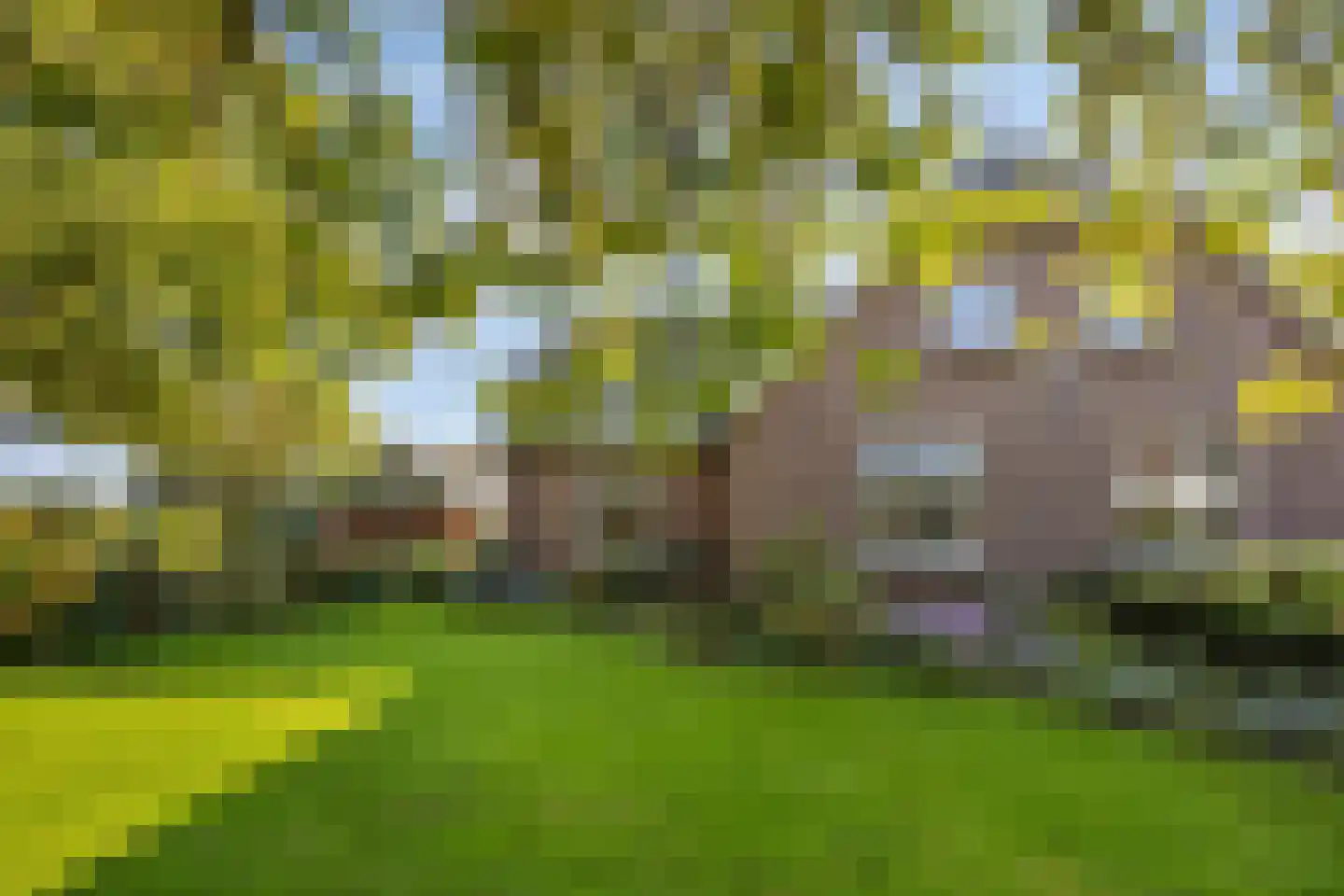 Ganzenebbeweg 5 Vaassen thumbnail 42