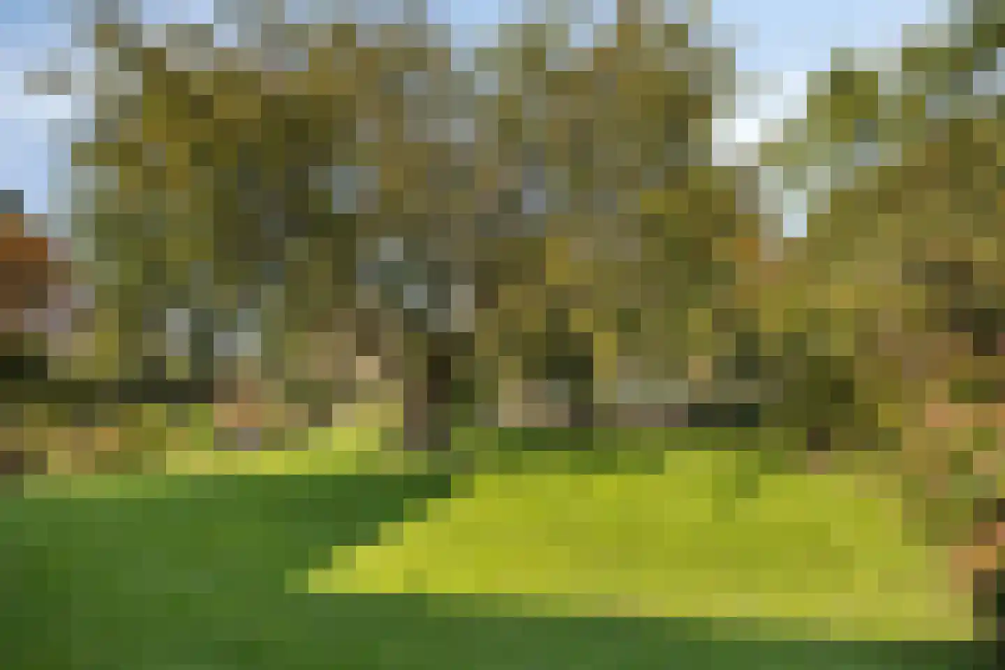 Ganzenebbeweg 5 Vaassen thumbnail 43