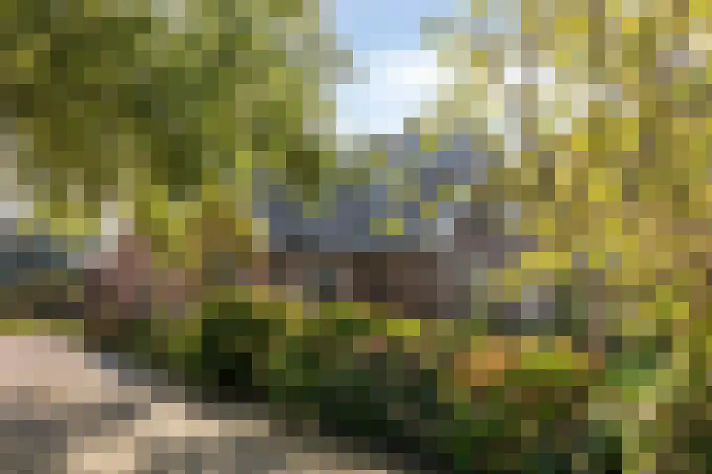 Ganzenebbeweg 5 Vaassen thumbnail 44