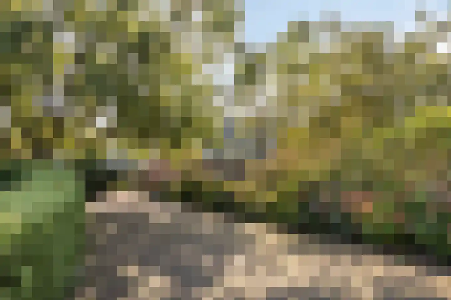 Ganzenebbeweg 5 Vaassen thumbnail 45