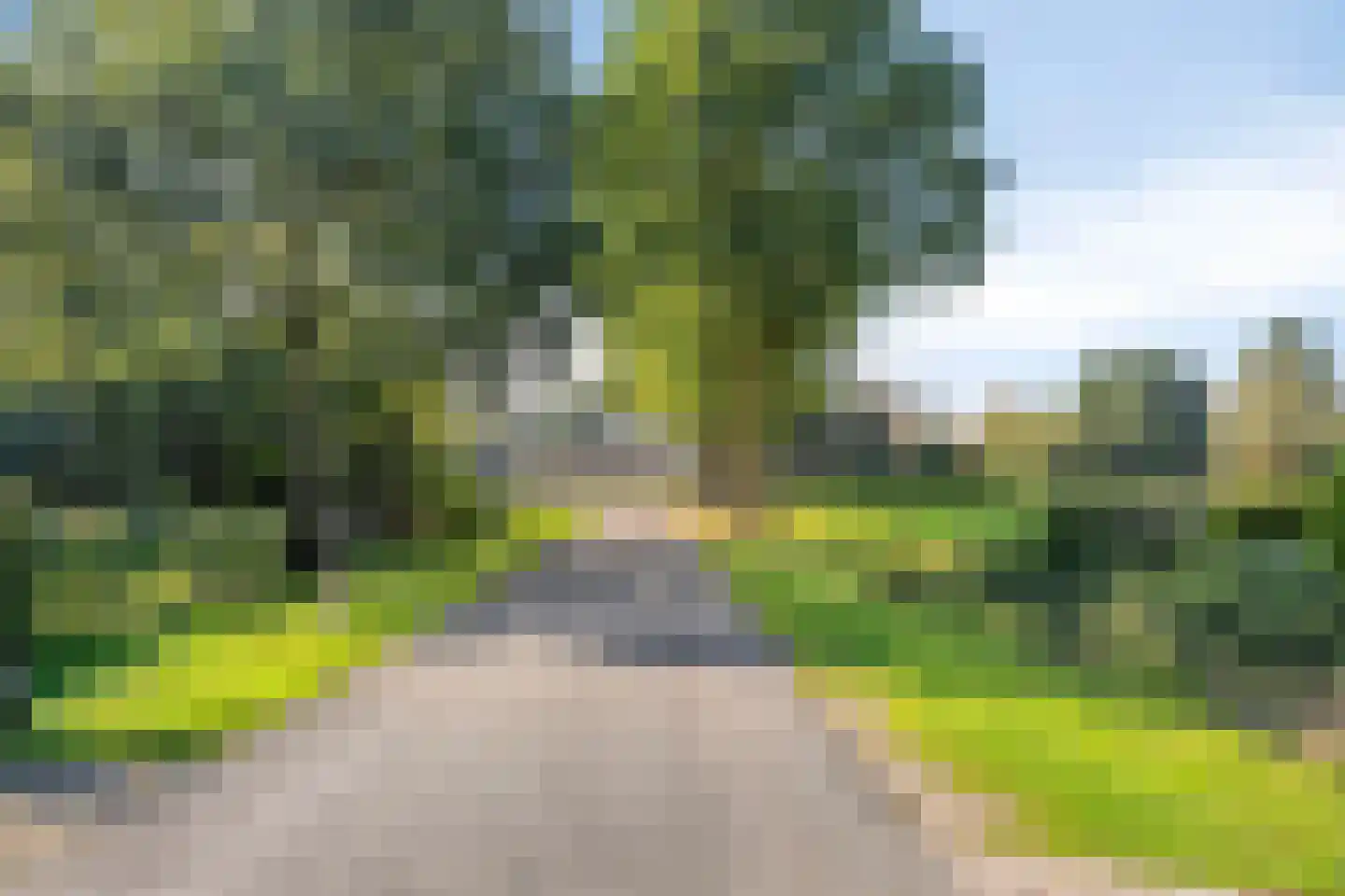 Ganzenebbeweg 5 Vaassen thumbnail 46