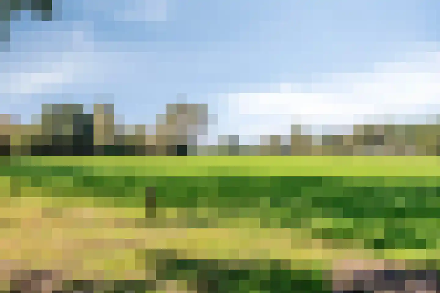 Ganzenebbeweg 5 Vaassen thumbnail 47