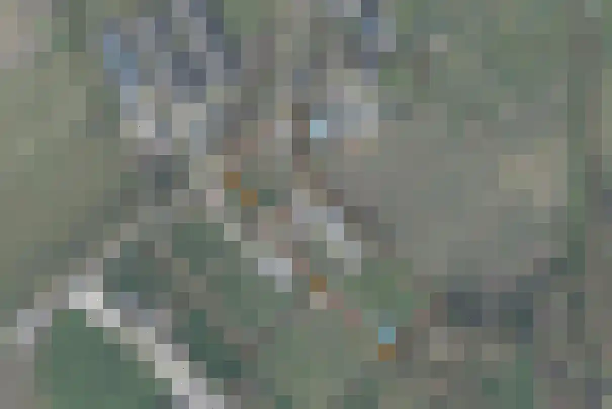 Ganzenebbeweg 5 Vaassen thumbnail 48
