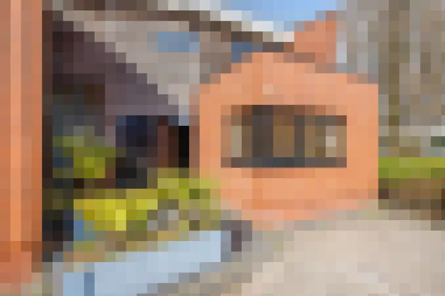 Ganzeneiland 1 Moordrecht thumbnail 7