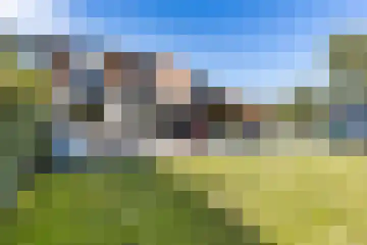 Ganzenerf 103 Delfzijl thumbnail 10